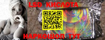 прущие грибы Будённовск