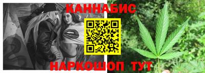 прущие грибы Будённовск