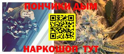 прущие грибы Будённовск